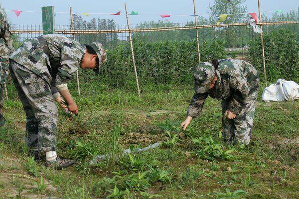 河南洛阳叛逆孩子教育学校(叛逆期孩子管教学校哪里好)(图2) 河南洛阳叛逆孩子教育学校(叛逆期孩子管教学校哪里好)(图2)